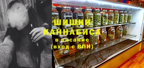 PSILOCYBIN Пестово
