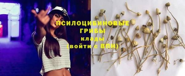 MDMA Premium VHQ Пересвет