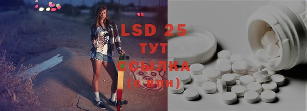 PSILOCYBIN Пестово