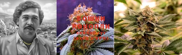 PSILOCYBIN Пестово